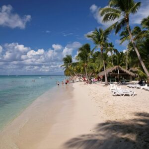 A pristine beach with palm trees in La Altagracia, Dominican Republic, ideal for a tropical summer vacation.