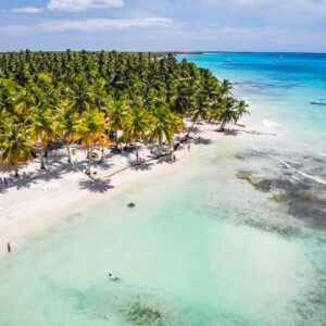 Stunning aerial view of a tropical beach with palm trees and turquoise waters, perfect for a relaxing vacation.